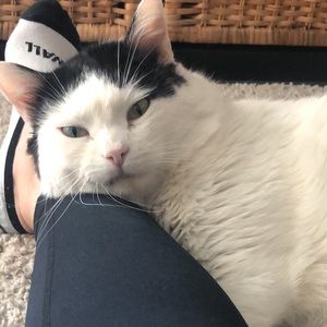 Meet your Posher, Ione